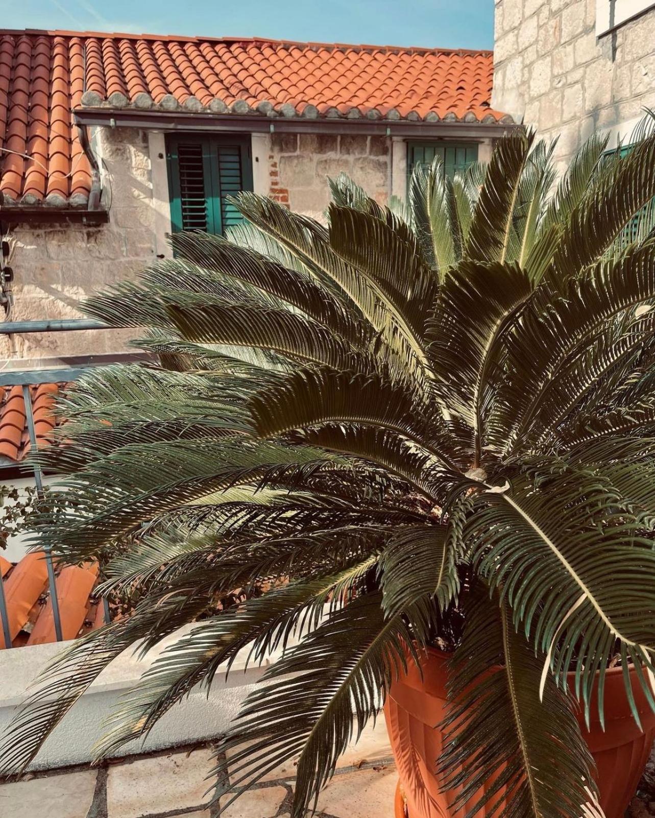 Villa Saint Lucas Split Zewnętrze zdjęcie